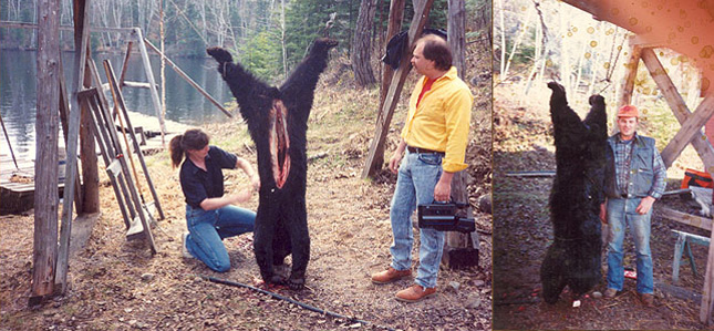 Ontario Bear Hunting